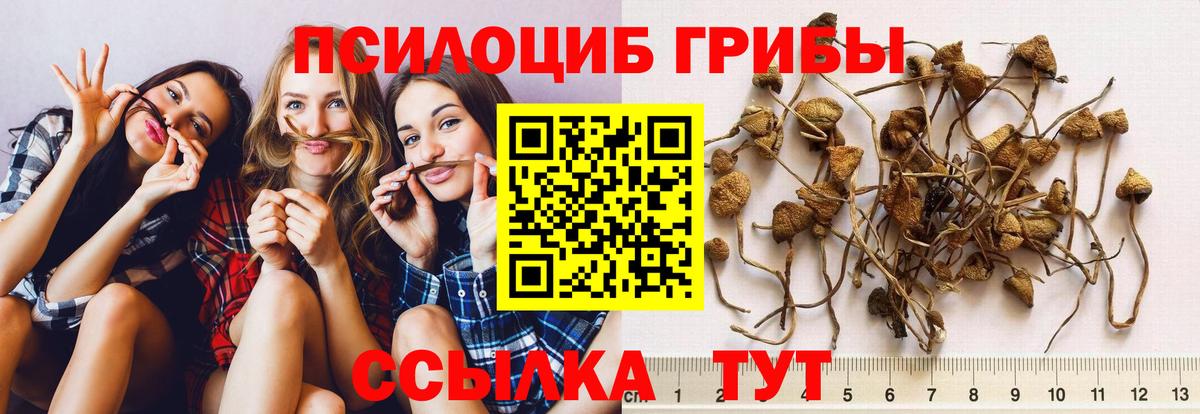 Галлюциногенные грибы Magic Shrooms  продажа наркотиков  Печора  Псилоцибиновые грибы Cubensis  Вход с VPN 