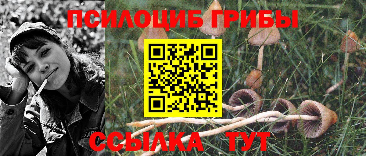 Псилоцибиновые грибы ЛСД Печора